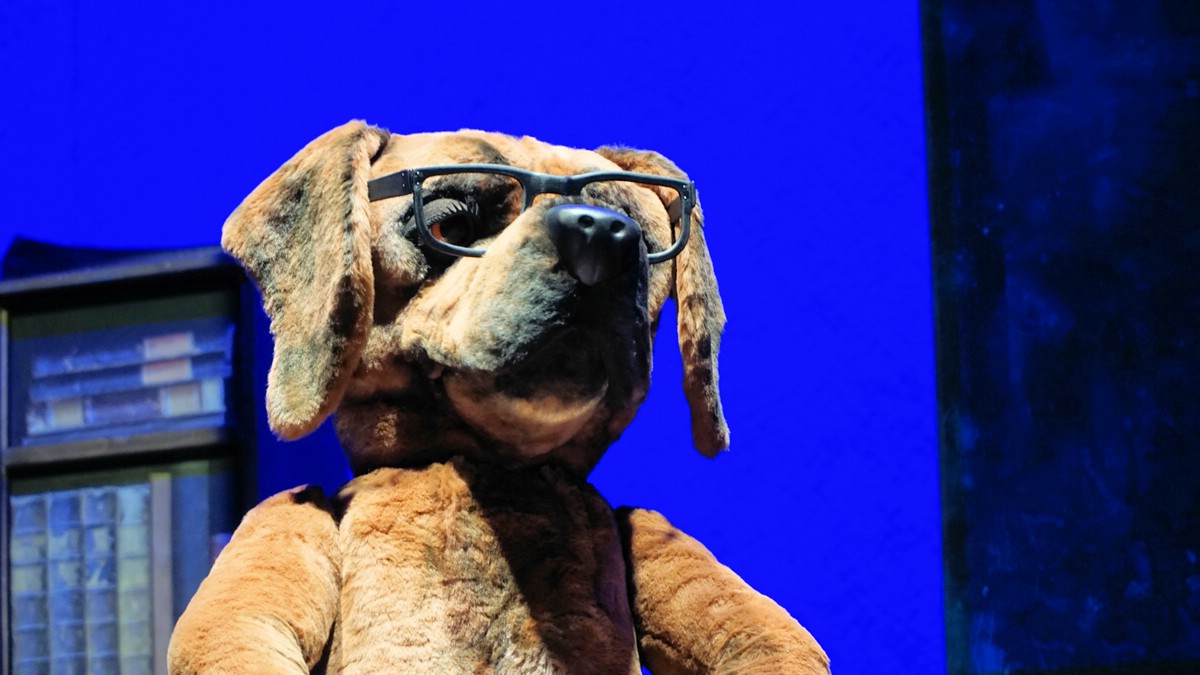 O Fotomagazin / Martin Rtter Show nachSITZen 2015